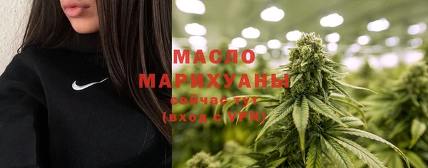 шишки Арсеньев