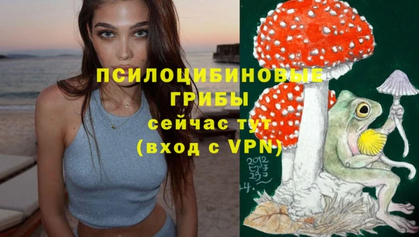 дживик Баксан