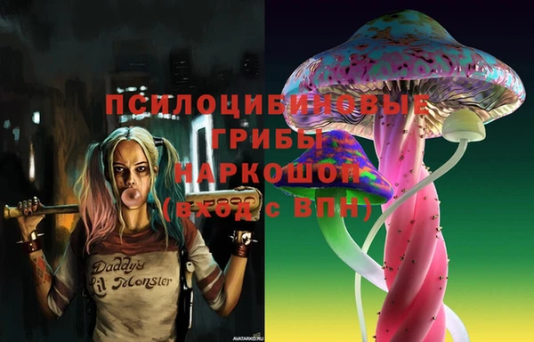 бошки Балахна