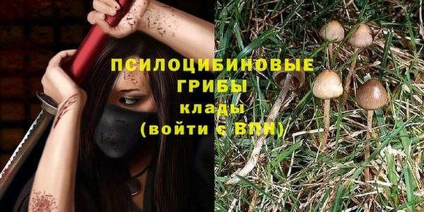 дживик Баксан